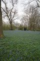 Fruehling   101